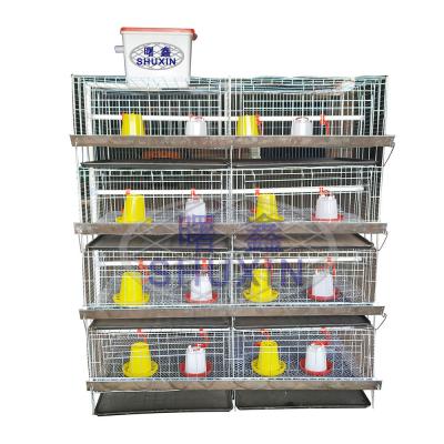 China Breeding Baby Chicken Poultry Farm Brood Cage 3/4 Tiers Q235 Galvanized Steel Layer Baby Chicken Cage For Sale for sale