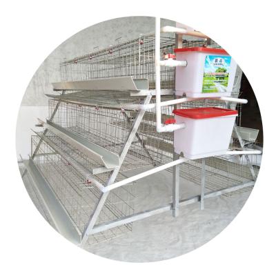 China Farms Galvanized Poultry Battery Cages Animal Husbandry Equipment Chicken Cages Egg Layer for sale