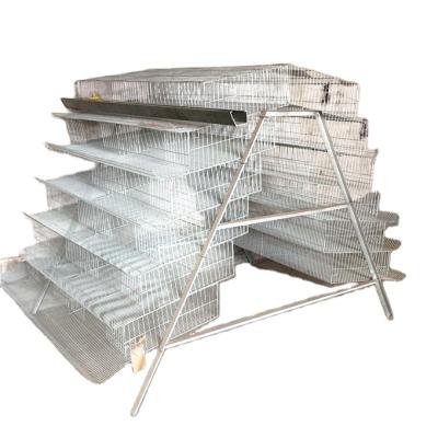 China Easily Install Cheap Galvanized Wire Mesh Quail Cage With Automatic Water System for sale