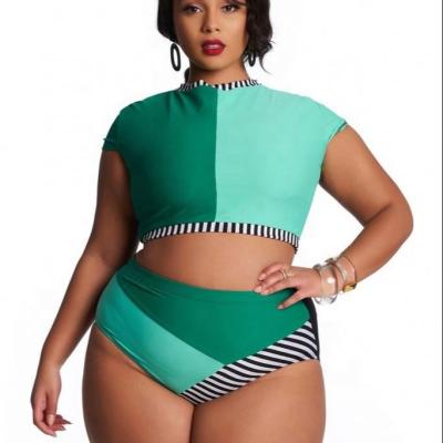 China Factory wholesale sexy bikini women high waist breathable one piece tank swimsuit plus size swimwear for sale