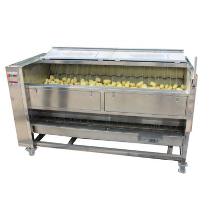 China food & Various Beverage Factory Promotional Goods Using Brush Peeling Machine Sale for sale