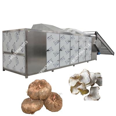 China Fully Automatic Efficient Industrial Automatic Yam Garlic Ginger Konjak Energy Saving Mesh Belt Continuous Drying Machine for sale