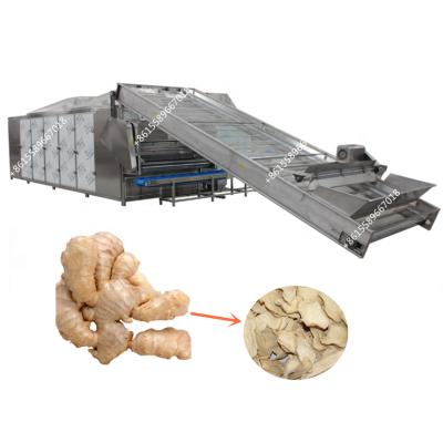 China Fully Automatic Efficient Automatic Yam Garlic Konjak Onion Carrot Ginger Energy Saving Mesh Belt Continuous Drying Machine for sale