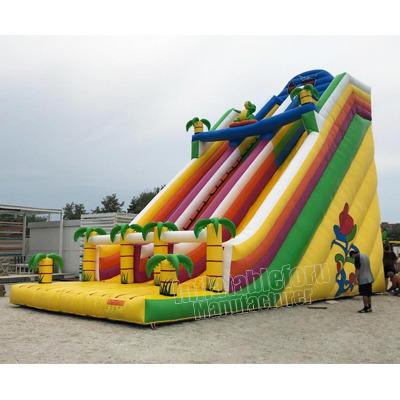 China PVC Kids Inflatable N Adults Slide 30ft for sale