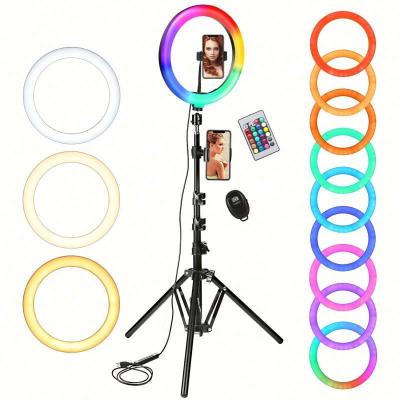 China Live Broadcast Led 10 Inch RGB Selfie LED 10inch Ring Light Dimmable Ring Lamp With Selfie Stick With Ring Light for sale