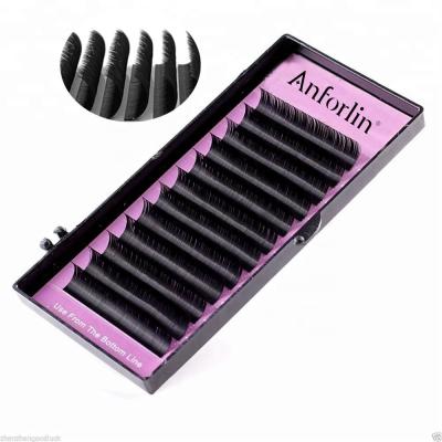 China Light Private Labels Volume Flower Lashes Silk Wick 3d Easy Fan Eyelash Extension Trays Professional Set Seller for sale