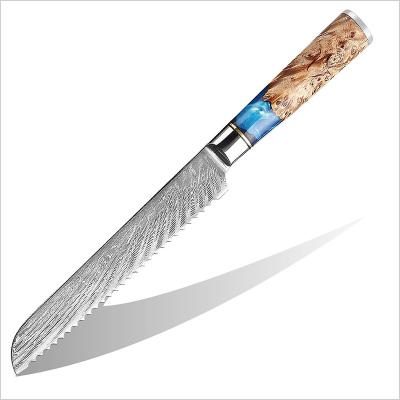 China Viable Damascus bread knife 8 inch, made of VG10 Damascus high carbon steel kitchen knife with ergonomic resin wood handle for sale