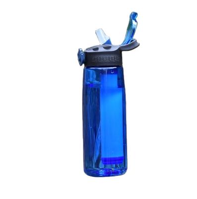 China 32Â ° F - 90Â ° F Water Filter Bottle Replace Concise Design Leak Proof Water Filter Bottle With 650ml Filter for sale