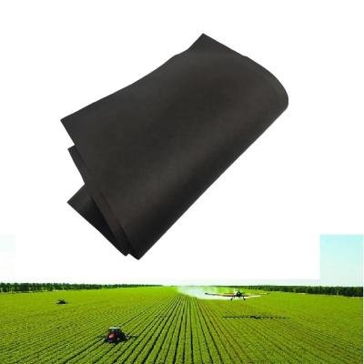 China Abrasion-resistant 100% corn fiber pla nonwoven PLA spunbonded nonwoven fabric for sale