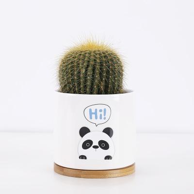 China 3.75inch Panda Flower Pots Plant Bottom Small White Ceramic Bulk Succulent Hole Drain Hole for sale