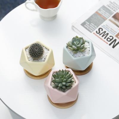 China China Factory Matte Luster Small Cute Cheap Plastic Succulent Pots For Succulents for sale