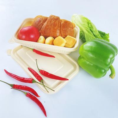 China Food Wholesale Cornstarch Rectangle 500ml Disposable Eco - Friendly Biodegradable Bento Lunch Box for sale