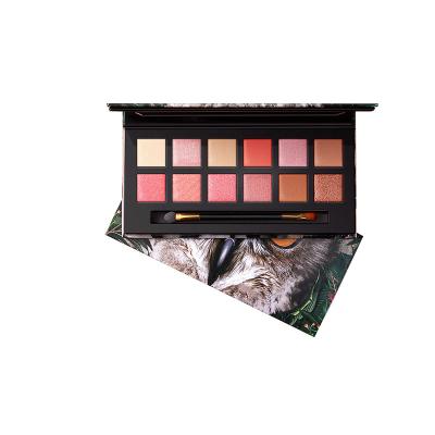 China Private Label Eyeshadow Palette Dye Eyeshadow Palette Cosmetic Tops Waterproof No Logo Organic Eye Makeup for sale