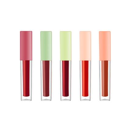 China Sunscreen 5 in 1 high gloss liquid lipstick new 2021 collection cute beauty moisturizing lip longer labial for sale