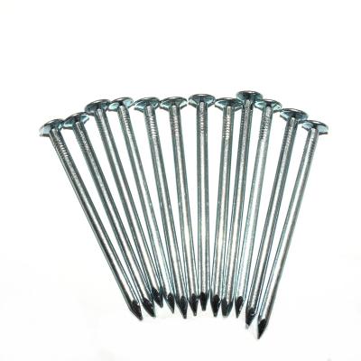 China China factory hotsale 2 Inch plain head nails Polished common nail for sale