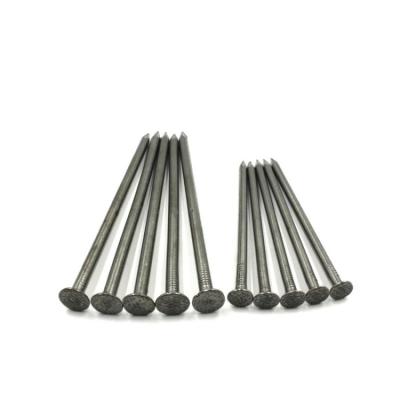 China Common Nail Iron Nail Factory Prices Iron Wire Nail Common Round Wire Nails for sale