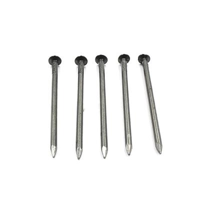 Cina Stainless Steel Ring Shank Common Nails wire iron nail with good price in vendita