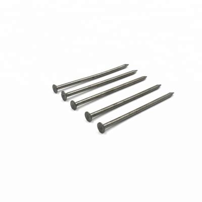 Cina High Quality Low Carbon Steel Common Wire Nails Iron Wire Nail in vendita