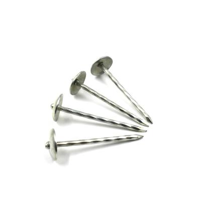 China Galvanized Umbrella Roofing Nails Weight With Washer BWG8-BWG12 Te koop