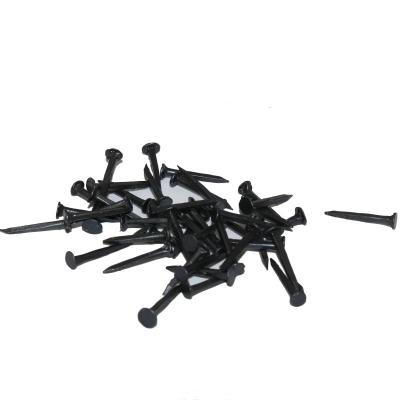 China Iron Q195 Raw Materials Black Shoe Nails for Ethiopia Market for sale