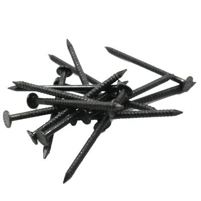 China high quality black ring shank roofing nail for Nigeria market en venta