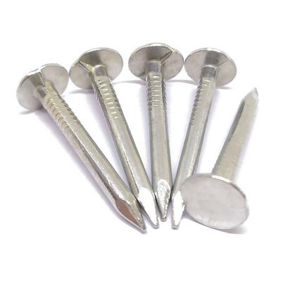 中国 2021 The Flat Head Clout Nail For Roof With Best Price Drywall Screw Nail 販売のため