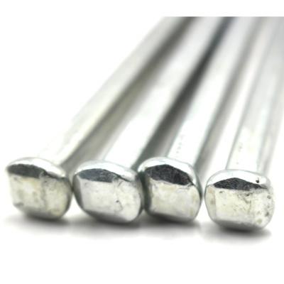 中国 Good Quality Square Shank Nail Zinc Boat Nails Drywall Screw Nail Boat Nail/Square Nails 販売のため