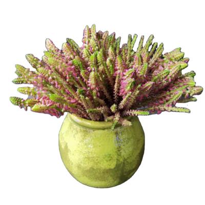 China Factory High Quality Plastic Artificial Succulents Artificial Decorative Flowers Lavender Cen Yu Yarn Home Decoration for sale