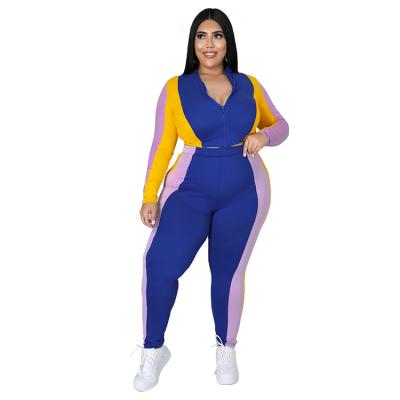 China Breathable Autumn Plus Size Women Casual Hit Color Stitching Long Sleeve Jacket Pants Zipper Two Piece Sets for sale