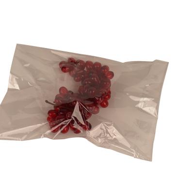 China Custom Printing Eco-friendly Biodegradable Peanuts Plastic Clear Food Biodegradable Vacuum Sealing Bag for sale