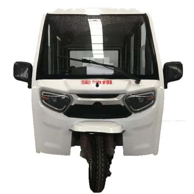 China New Scooter Passenger Tricycle Fully Enclosed Warehouse Electric 3 Wheeler for sale