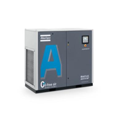 China Aq Series 60Hz 30Kw Oil Free Air Cooled Atlas Copco Oilless Compressor Machine Air for sale