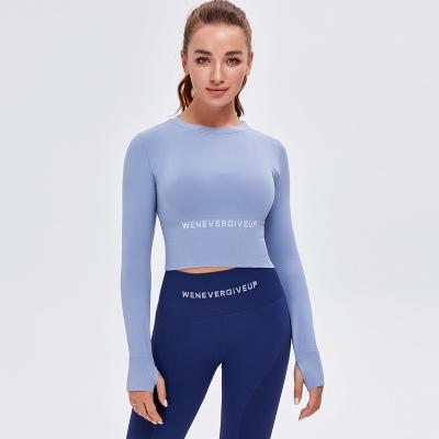 China Breathable Women Fashion Seamless Yoga Tops Tracksuit Sexy Women Jogger Clothing Soft Design Activewear for sale