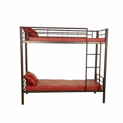 China APPROPRIATE1 Metal Frame Ladder Loft bunk Beds for Adults and Kids for sale