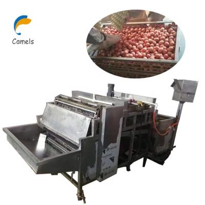 China Commercial Supply Egg Peeler Machine Boiled Egg Peeling Machine Quail Egg Shelling Machine for sale