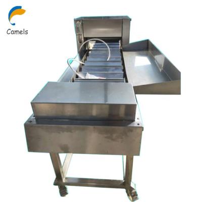 China Fish processing industries hearing fish cutting machine fish head cut machine carp head cutter remover for sale