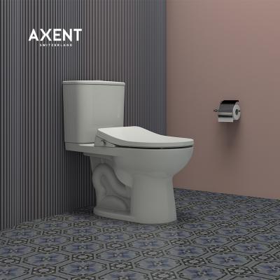 China Double-Flow Ceramic WC Two-Piece Toilet - Toilet Trap Newcomer Washdown Two-Piece Toilet for sale