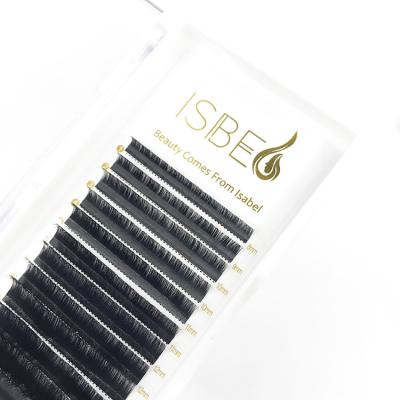 China Lash Korean PBT Sensitive Russian Fiber Eyelash Extensions Volume Individual Eyelash for sale