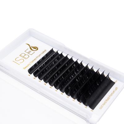 China Different Delicate Mink Volume Lashes Professional Eyelash Salon Extensions Use Mixed Trays for sale