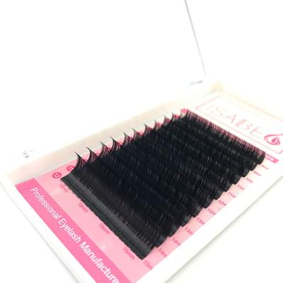 China Low Price Free Sample 0.03 Thickness Makeup Eyelashes Delicate Volume Eyelash for sale