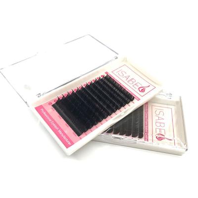 China Sensitive Fine Quality Matte 0.03mm Thickness Individual False Eyelashes False Eyelash Extension for sale