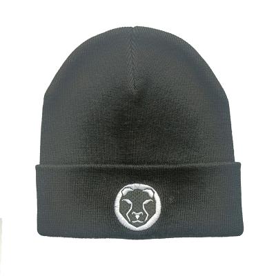 China Hot Sale COMMON COMMON Winter Wear Unisex Knitted Custom Logo Fleece Inside Woven Free Label Size Hats for sale