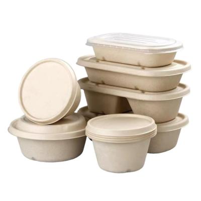 China Food Packaging 2 Compartment Biodegradable Disposable Sugarcane Bagasse Food Container for sale