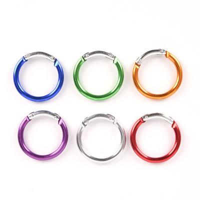 China General Industry Custom Aluminum Alloy Round Shaped Logo 38mm Colorful High Quality Carabiner For Wrench for sale