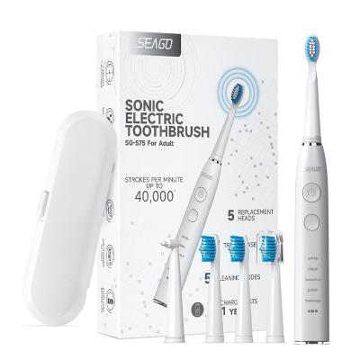 China Dupont Nylon Bristles Wholesale Seago SG575 Sonic Oscillating Electric Toothbrush China Deep Clean 300 Days Battery Life 5 Modes With 5 Nozzles for sale