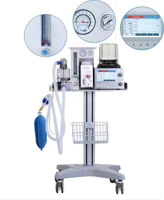 Cina Sistema veterinario 0-60L/Min dell'organismo saprofago di anestesia delle macchine per colata continua di DM6B quattro in vendita