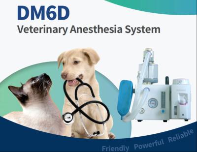 Cina Macchina animale 280kPa-600kPa di anestesia del VETERINARIO di alta precisione DM6D in vendita