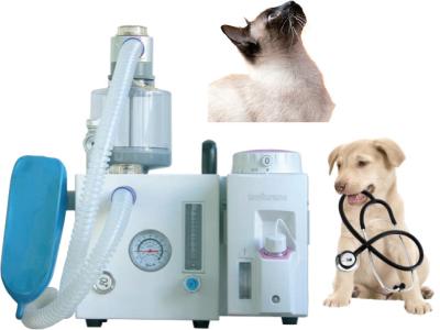 China Sistema animal de la anestesia del ventilador veterinario de la anestesia de DM6D pequeño en venta