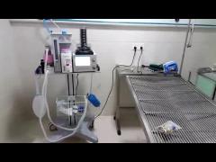 DM6B Anesthesia System