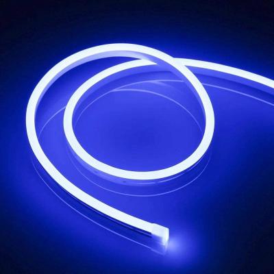 China 12V Festival Party Pool Bar Home DIY Decoration Sign Rope Neon Lights Residential Outdoor Waterproof Silicone LED Flexible Strip Light for sale